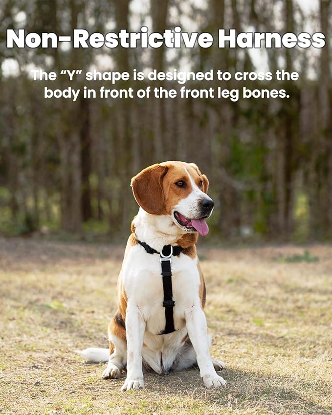 Non-Restrictive Dog Harness, Neck Buckle Design, Easy Walk Freedom No Pull Harness, Keep Balance, Six Points Adjustment, for Large Dogs Chest(25-35 inches) Blue/Black