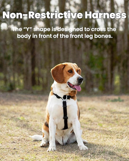 Non Restrictive No-Pull Dog Harness, Neck Buckle Desgin, Easy Walk Freedom Harness Keep Balance, Six Points Adjustment, for Medium Dog Chest(21-30 inches) Purple/Black