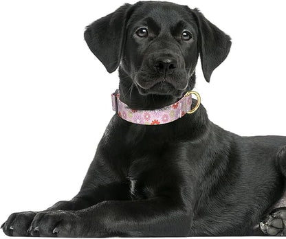 Rnivvi Dog Collar for Large Dogs, Cute Heavy Duty Adjustable Puppy Collar with Quick Release Buckle for Girl & Female, Pet Accessories for Walking Running, L Length 1" Width, Colorful Chamomile