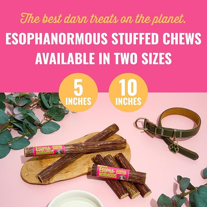 etta says! Esophonormous Esophagus Stuffed Bully Sticks for Dogs - Made in The USA with All Natural, Limited Ingredients - High Protein Dog Chew - 5", 5 Packs