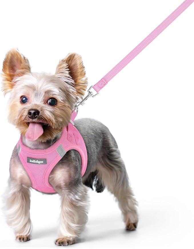 rabbitgoo Dog Harness Small Sized and Leash Set, Step in Soft Light Puppy Vest, Breathable Mesh Pet Harness, Reflective for Safe Easy Walking, Light Pink XS