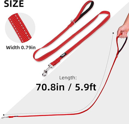 PUPTECK Reflective Dog Leash with Comfortable Padded Handle Durable Nylon Dog Lead for Small Medium and Large Dogs Cats Walking Running Training Outside, Red