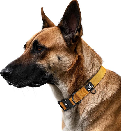 Dog Collars for Small Dogs Chritsmas Boy Girl - Adjustable, Chew Proof Nylon Collar with Metal Quick Release Buckle and D-Ring for Dog Tags (Turmeric Yellow, S)(not Included The Pendant)