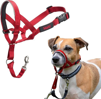 Halti Headcollar - Stop Your Dog Pulling on The Leash. Adjustable, Reflective and Lightweight, with Padded Nose Band. Dog Training Anti-Pull Collar for Small Dogs (Size 1, Red)