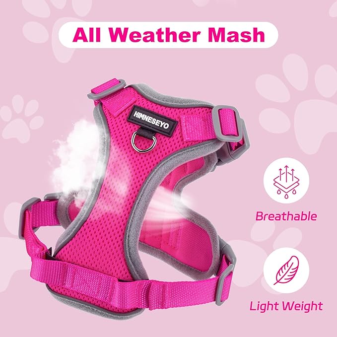 Small Dog Harness and Leash Set, No Pull Adjustable Pet Harness for Small Dogs, Breathable Mesh Rflective Dog Vest Harness (Rose Red, M)