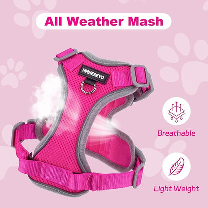 Small Dog Harness and Leash Set, No Pull Adjustable Pet Harness for Small Dogs, Breathable Mesh Rflective Dog Vest Harness (Rose Red, XXS)