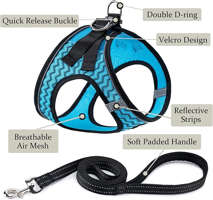 BOOMIBOO Dog Harness with Leash Set, No Pull Adjustable Reflective Step-in Puppy Pet Vest Harnesses for Small Medium Large Dogs and Cats,Blue Stripe XXS