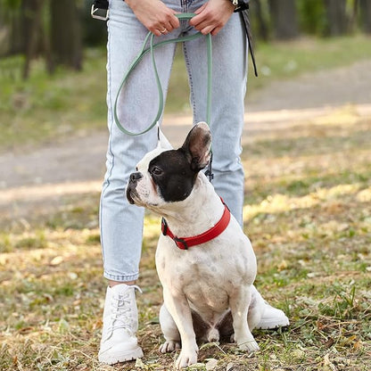 Dogline Biothane Waterproof Dog Leash Strong Coated Nylon Webbing with Black Hardware Odor-Proof Easy to Clean High Performance for Small or Large Dogs Made in USA 4 or 6 ft Lead, Sage Green