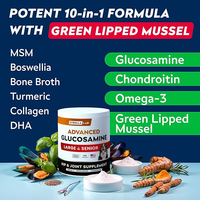 STRELLALAB Advanced Glucosamine Hip & Joint Supplement for Senior Dogs - Green Lipped Mussel & Collagen - Hip & Joint Pain Relief - Large & Small Breed - Joint Health - Bacon - 120 Chews