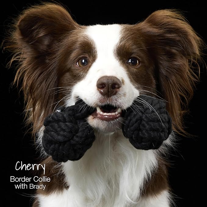 Brady The Rope Tug Toy 3-Pack Organic Cotton Dog Rope Pull Toys for All Pet Breeds, Navy Ombre, One Size