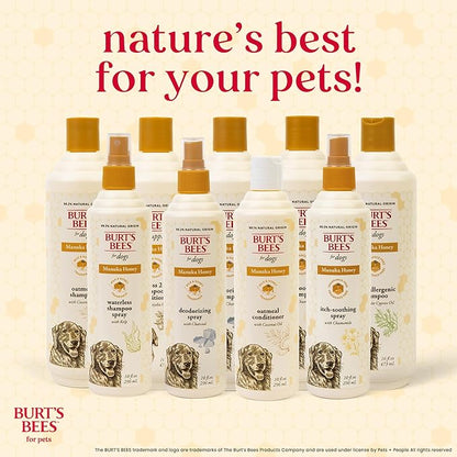 Burt’s Bees for Pets Itch Spray with Manuka Honey and Chamomile for Dogs - Naturally Derived Ingredients, Formulated Without Artificial Fragrances, Sulfates, Colorants, 10 Fl Oz