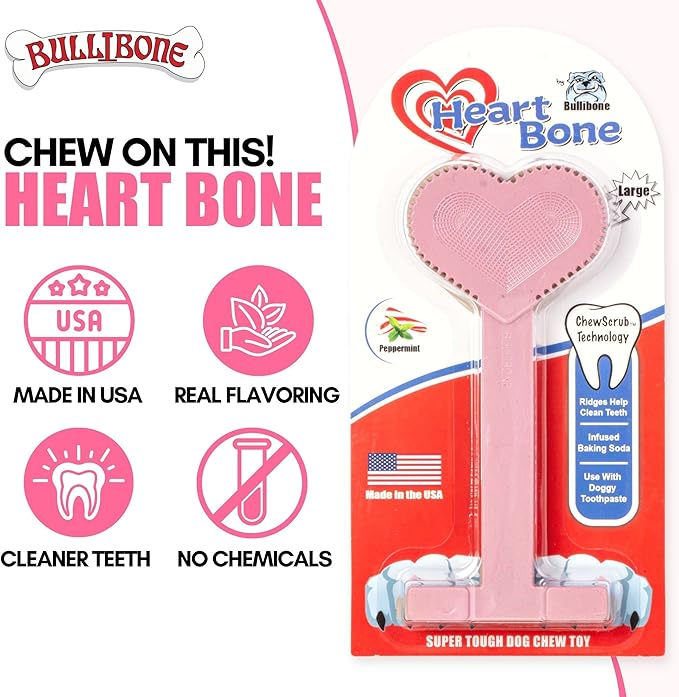 Bullibone Nylon Dog Chew Toy for Aggressive Chewers - Dental Hygiene Bone with Peppermint Flavor, Durable Tough Chew Toys for Small Dogs, Indestructible Dog Bone - 2 Pack