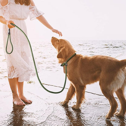 TwoEar 6FT Slip Lead Dog Leash, Heavy Duty Slip Leash for Dogs with Highly Reflective, Strong Rope Slip Leads No Pull Pet Training Leashes for Small Dogs (3/8", Green)