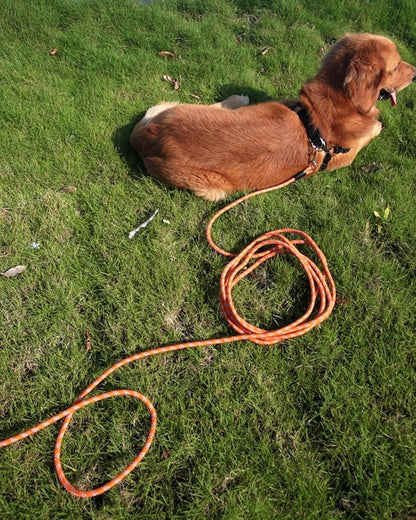 Long Dog Leash for Dog Training 10FT 16FT/30FT/50FT/100FT, Reflective Threads Rope Dog Leash, Heavy Duty Dog Lead for Large Medium Small Dogs Walking Playing, Camping, or Yard