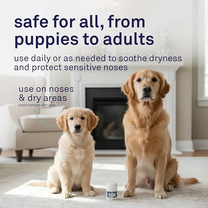 Petpost | Snout Balm for Dogs - Nourishing Snout Soother Balm Heals Dry Dog Noses with Moisturizing Ingredients - Organic Coconut Oil, Jojoba Oil, and Shea Butter 0.64 oz.