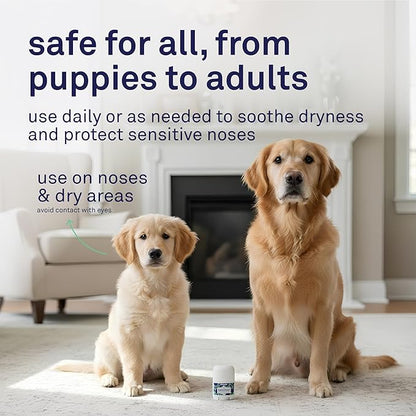 Petpost | Snout Balm for Dogs - Nourishing Snout Soother Balm Heals Dry Dog Noses with Moisturizing Ingredients - Organic Coconut Oil, Jojoba Oil, and Shea Butter 0.64 oz.