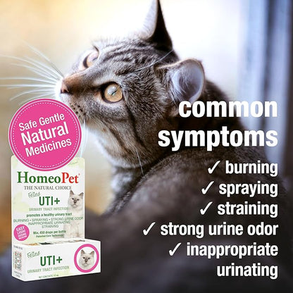 HomeoPet Feline UTI+, Safe and Natural Urinary Tract Supplement for Cats, Feline Urinary Tract Support, 15 Milliliters