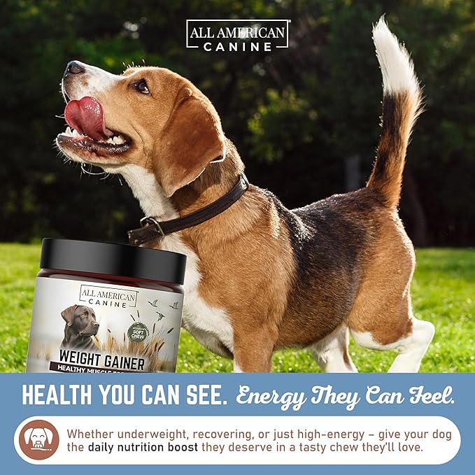 Dog Weight Gainer Chews – High Calorie Dog Food Supplement for Rapid Weight Gain, Mass, and Recovery – Appetite Stimulant – 60 Chews