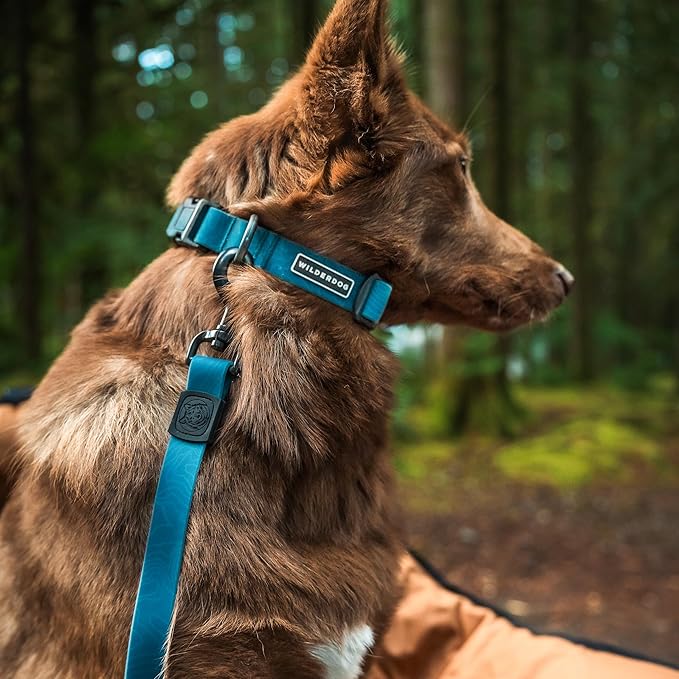 Wilderdog Waterproof Dog Collar - Repels Water & Dirt - Medium 13"-18" - Pacific Blue