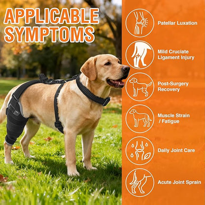 Dog Knee Brace for Torn ACL Hind Leg – Comfortable Adjustable Knee Brace for CCL Injury & Luxating Patella, Includes Removable Hot/Cold Compress Gel Packs for Joint Recovery, Right Leg, Size L