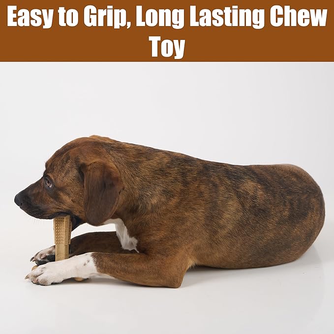 SPOT Bam-Bones Plus T-Bone, Bamboo Fiber & Nylon Dog Chew, Durable for Aggressive Chewers, Non-Splintering, for Adult Dogs & Teething Puppies Under 60lbs, 6in, Chicken Flavor