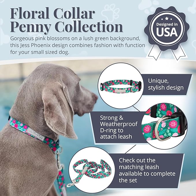 Lucky Love Dog - Adjustable Dog Collar with Easy Click Buckle for Small Dogs, Durable, & Comfortable for Male & Female Dogs, Pet Collar for Puppies & Adult Ones - Penny, Small