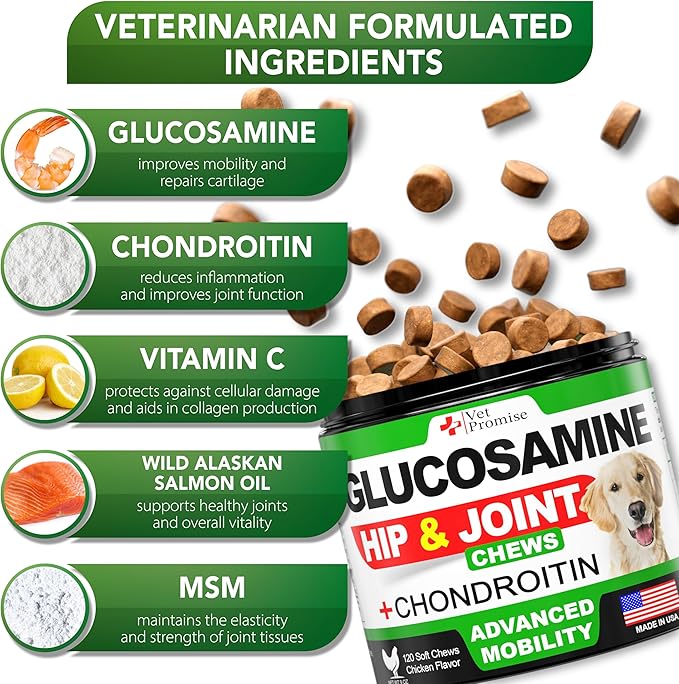 Glucosamine for Dogs - Hip and Joint Supplement for Dogs - Glucosamine Chondroitin - Joint Pain Relief Pills - MSM - Advanced Health Support Supplement - 120 Mobility Chews - Made in USA