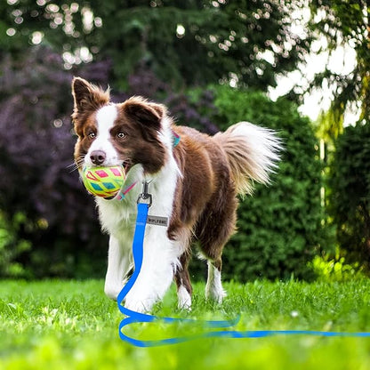 Wolfone 40ft Blue Long Leash - Waterproof Training Dog Leash for Recall, Swimming, Camping, Beach, Hunting, Walking