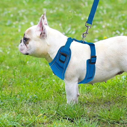 PUPTECK Small Dog Harness and Leash Set, No Pull Adjustable Puppy Cat Harness, Reflective Soft Mesh Pet Vest Small Sized, Blue, S