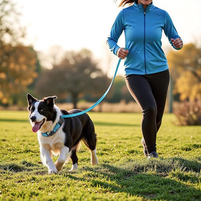 HDDTTZ AirTag Dog Collar and Leash, IP68 Waterproof Integrated with Reflective, Ultra-Durable, Comfortable Padded, Heavy Duty Dog Collars for Small Medium Large Dogs, S (10.6"-13.6"), Blue