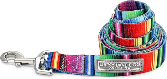 Lucky Love Dog Leash, Colorful Striped Dog Leash for Small Dogs, Durable & Long Lasting, (Nacho, Small)
