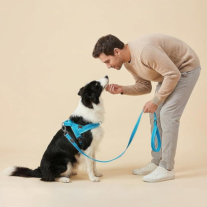Didog Soft Flannel Padded Dog Vest Harness, No Pull/Quick Fit Reflective Dog Strap Harness, Easy for Training Walking (L:Chest 26-32", Blue)