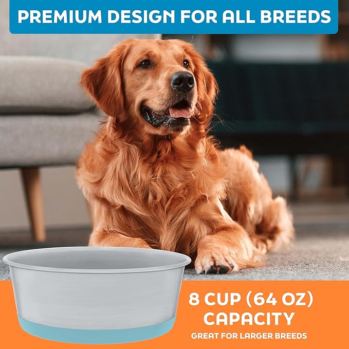 Master Pet Supply Stainless Steel Dog Bowls Set of 2 with Extra Thick Silicone Base - 8 Cup (64 oz) Aqua Sky, Non-Slip, Dishwasher Safe Metal Bowls, Pet Dog Food Bowl for Dogs, Cats, Anti Rust