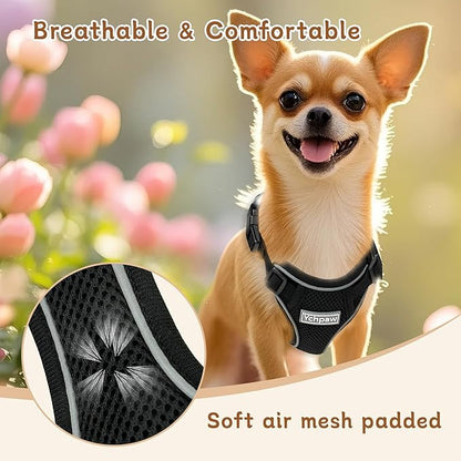 Small Dog Harness and Leash Set, Reflective Soft Breathable Mesh Vest, 3 Buckles, Adjustable Neck and Chest,Step in Dog Harness for Walking, Running, Training, Black, XS