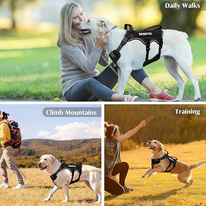 WINSEE Escape Proof Dog Harness, Service Working Molle Harness with Double Handle, Tactical Pet Vest with 4 Patches for Small Medium Large Dogs Walking Hiking Hunting
