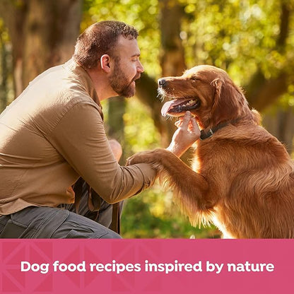 Nature's Recipe Grain Free Wet Dog Food Salmon, Sweet Potato, and Pumpkin Recipe, 13 oz. Can (Pack of 12)