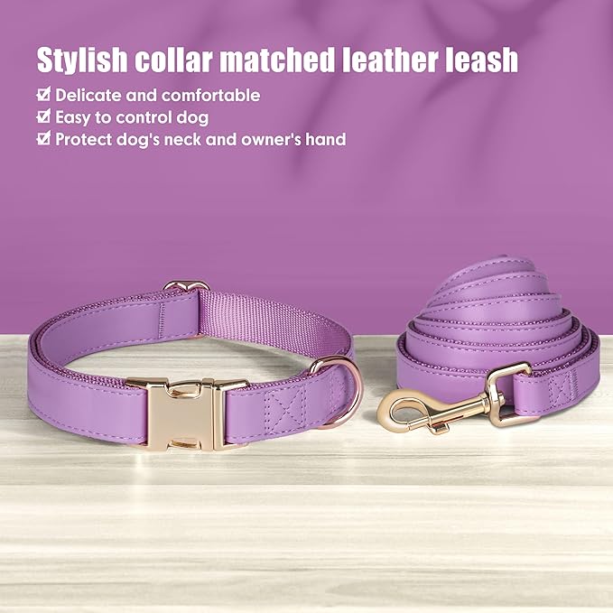 PET ARTIST Soft PU Leather Dog Collar and Leash Set, Bright & Stylish 5FT PU Leather Leash and Collar Set, Durable Pet Collars with Quick Release Metal Buckle for Medium Dogs,Purple,M(13-19")