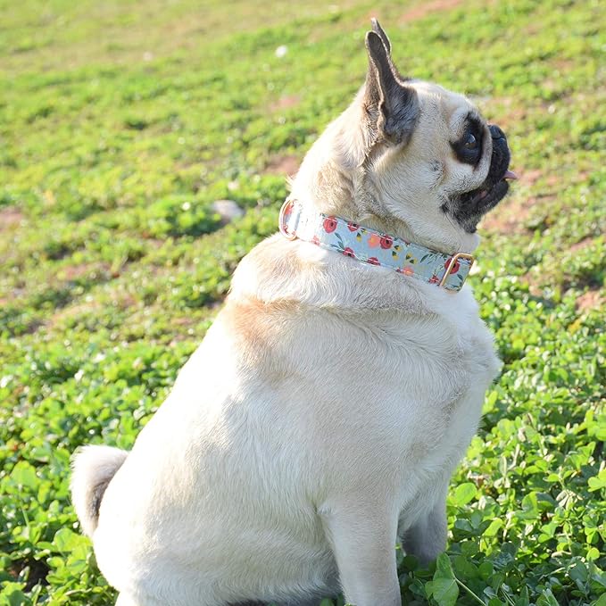 Metal Buckle Dog Collar, Durable Adjustable Dog Collar Soft for Small Medium Large Dogs (001-Flower11, L(15-23in))