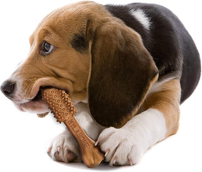 Nylabone Nutri Dent Dog Dental Chews - Natural Dog Teeth Cleaning & Breath Freshener - Dental Treats for Dogs - Filet Mignon Flavor, Medium (20 Count)