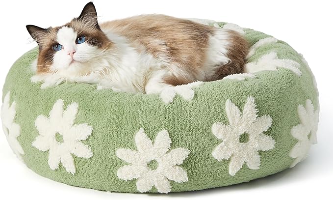 LE SURE Donut Cat Beds for Indoor Cats - Round Small Dog Bed Calming Gift for Pets, Cute Modern Beds with Jacquard Shaggy Plush & Anti Slip Bottom, 20 Inch, Green