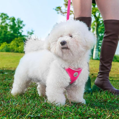 Hipubby Dog Harness and Leash Set, No Pull Soft Mesh Puppy Harness for Small Medium Dogs, Cats - Step in Reflective Breathable Lightweight Vest Harness for Walking, Training - Rose Red, L