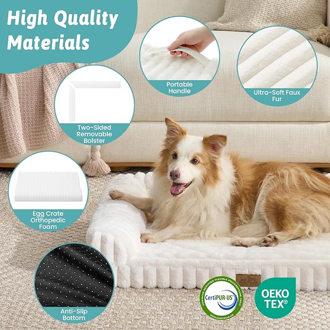 Cute Dog Bed, Faux Rabbit Fur Orthopedic Foam Dog Bed with Sides, Removable Washable Cover & Waterproof Lining, Comfortable Pet Couch for Small Dogs, Cream (30" L x 20" W x 6" Th)