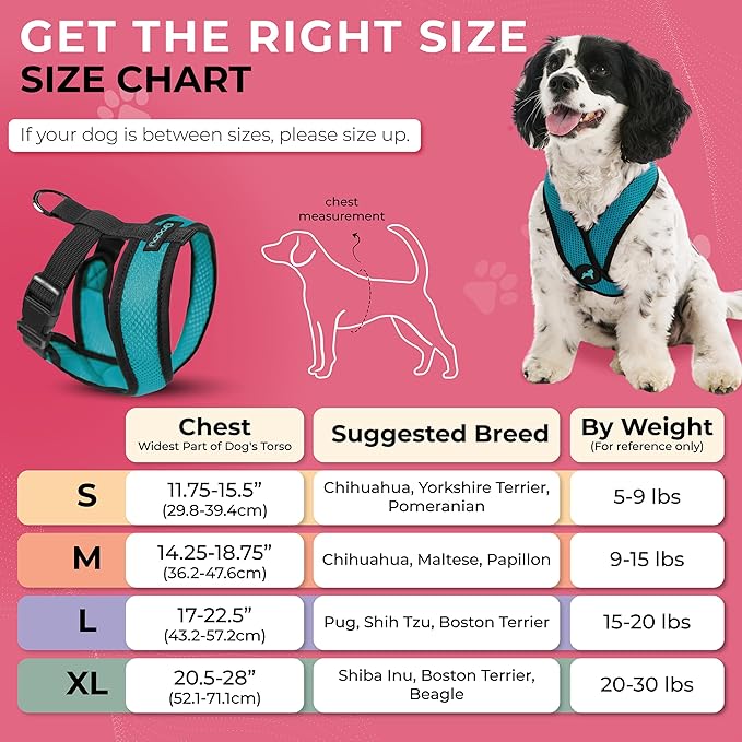 Gooby Comfort X Head-in Harness – Medium Dog Harness (9–15 lbs), Turquoise, No Pull, Choke-Free Design