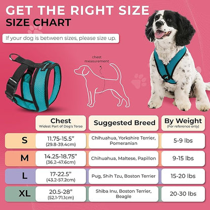 Gooby Comfort X Head in Harness - Turquoise, Large - No Pull Small Dog Harness, Patented Choke-Free X Frame - On The Go Dog Harness for Medium Dogs No Pull or Small Dogs for Indoor and Outdoor Use