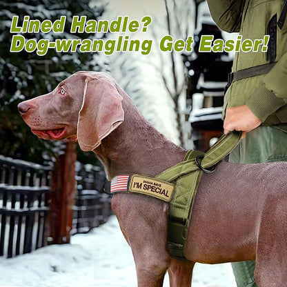 Forestpaw No Pull Dog Harness with Large Handle,Slip on Reflective Vest with Quick Release Buckle,Comfortable Flannel Lining for Medium Large Dogs Walking Training (Includes 3 Patches),Green XL