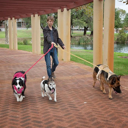 Wisedog No Pull Lightweight Dog Vest Harness with Soft and Comfortable Cushion, Breathable Mesh, for Small Medium Large Dogs Walking (L(Neck: 16.15"-20.86";Chest: 24.02"-38.19"), Peacock Pink)