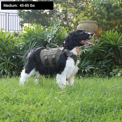 ICEFANG GN3 Tactical Dog Harness with 6X Buckle,Dog Molle Vest with Handle,3/4 Body Coverage,Hook and Loop Panel for ID Patch,No Pulling Front Clip (M (25"-31" Girth), Ranger Green)