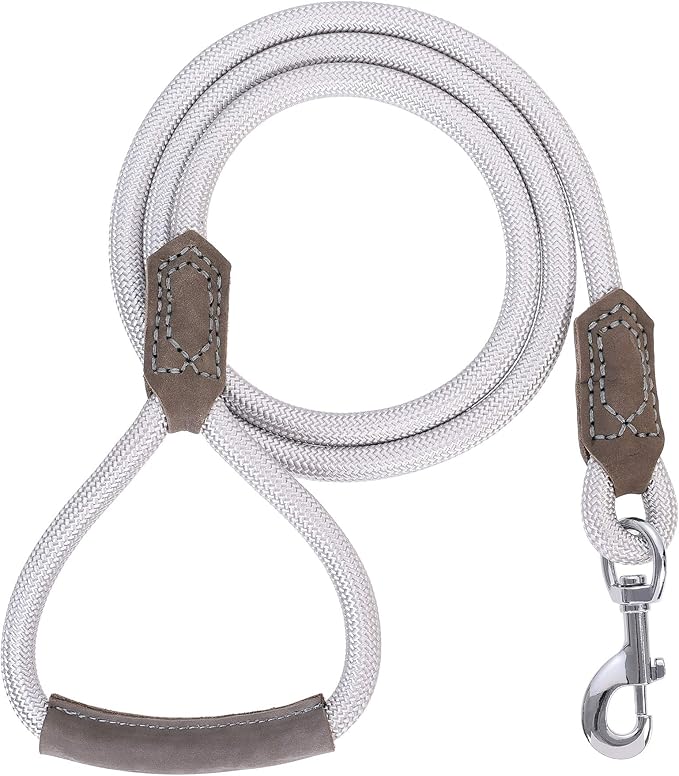 Mile High Life | Premium Leather Dog Leash | Strong Rope Leash | Leather Handle | Zinc Alloy Strong Clasp | Small Medium Large Dogs | 4/5/6 Feet(Sliver, 60 Inch (Pack of 1))