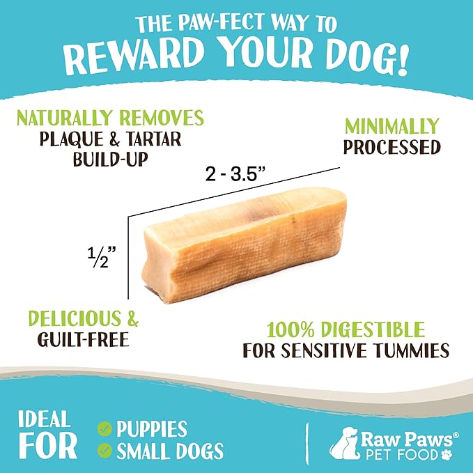 Raw Paws Himalayan Yak Chews for Dogs - Small (12-Count) - Packed in USA - Tibetan Yak Cheese Dog Chews for Small Breeds - Hard Milk Dog Chew Bones - Single Ingredient - Long Lasting