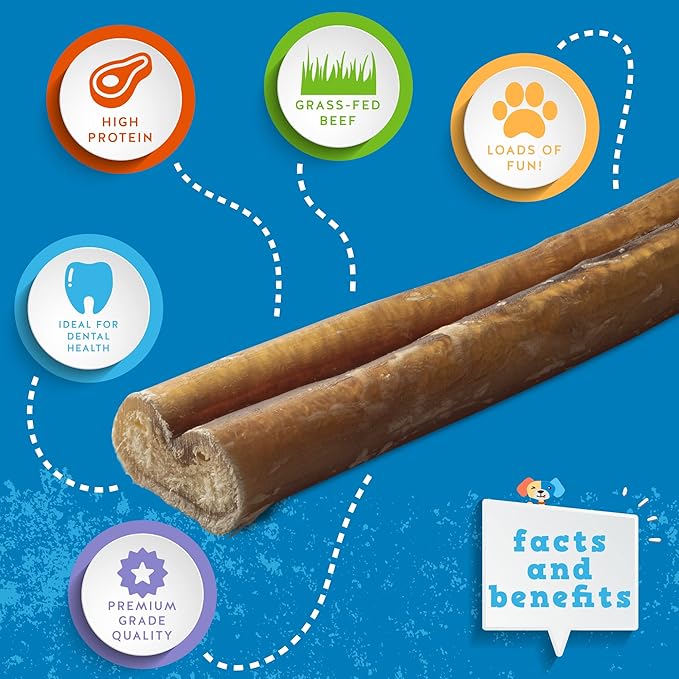 Jack&Pup 12 Inch Bully Sticks for Dogs (10 Pack) Extra Thick Dog Chews Long Lasting, Odor Free, Single Ingredient, 100% Beef Bully Sticks for Large Dogs